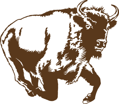 Dessin d’un bison d'Europe